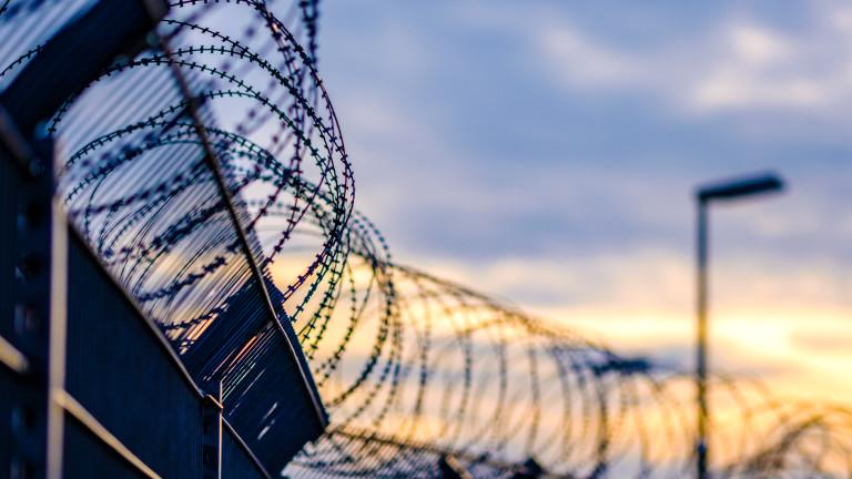 barbed wire